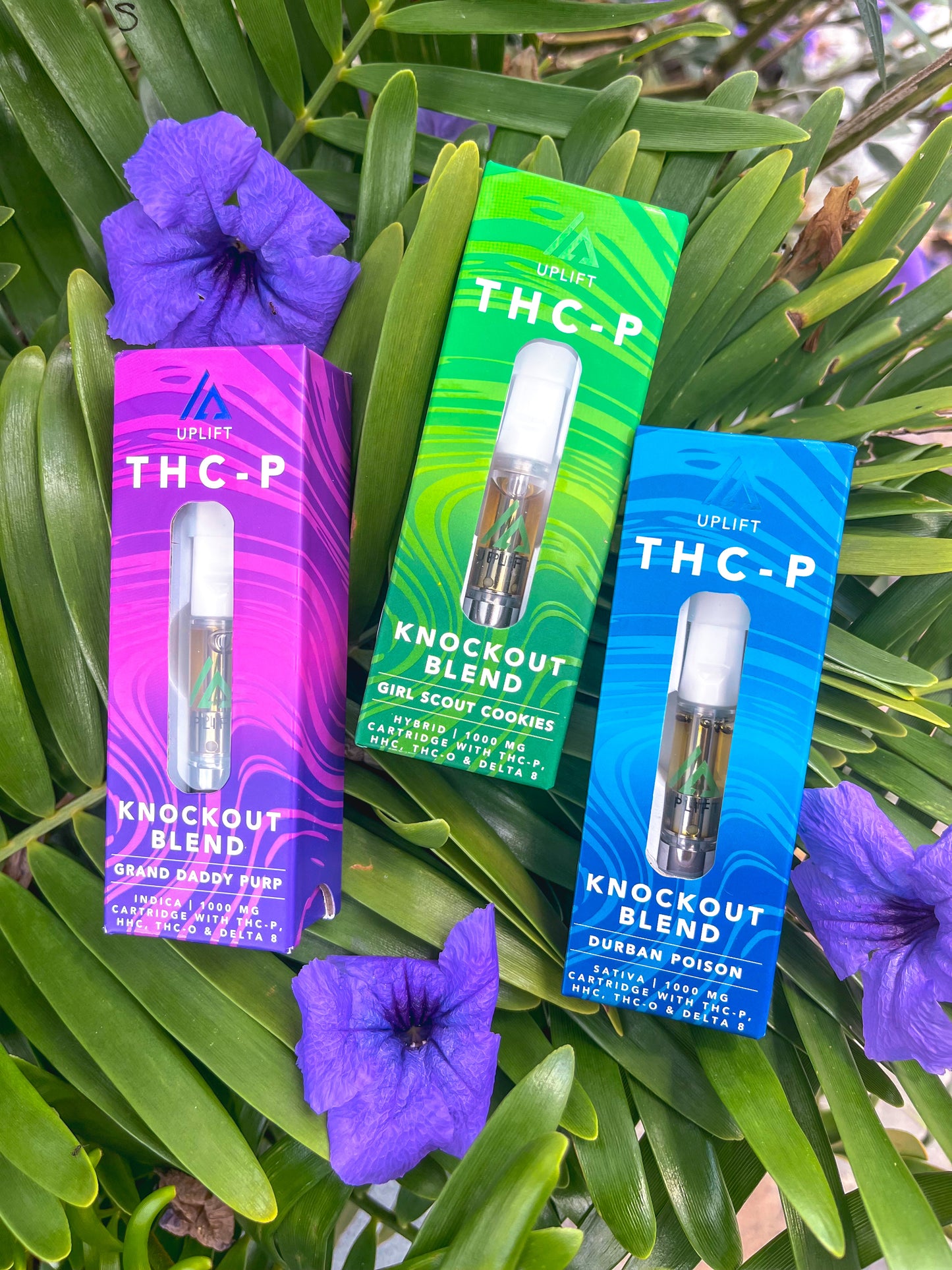 Uplift THC-P Cartridge