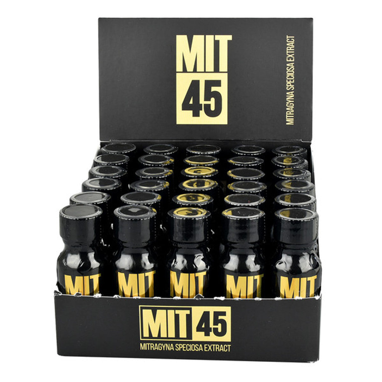 MIT 45