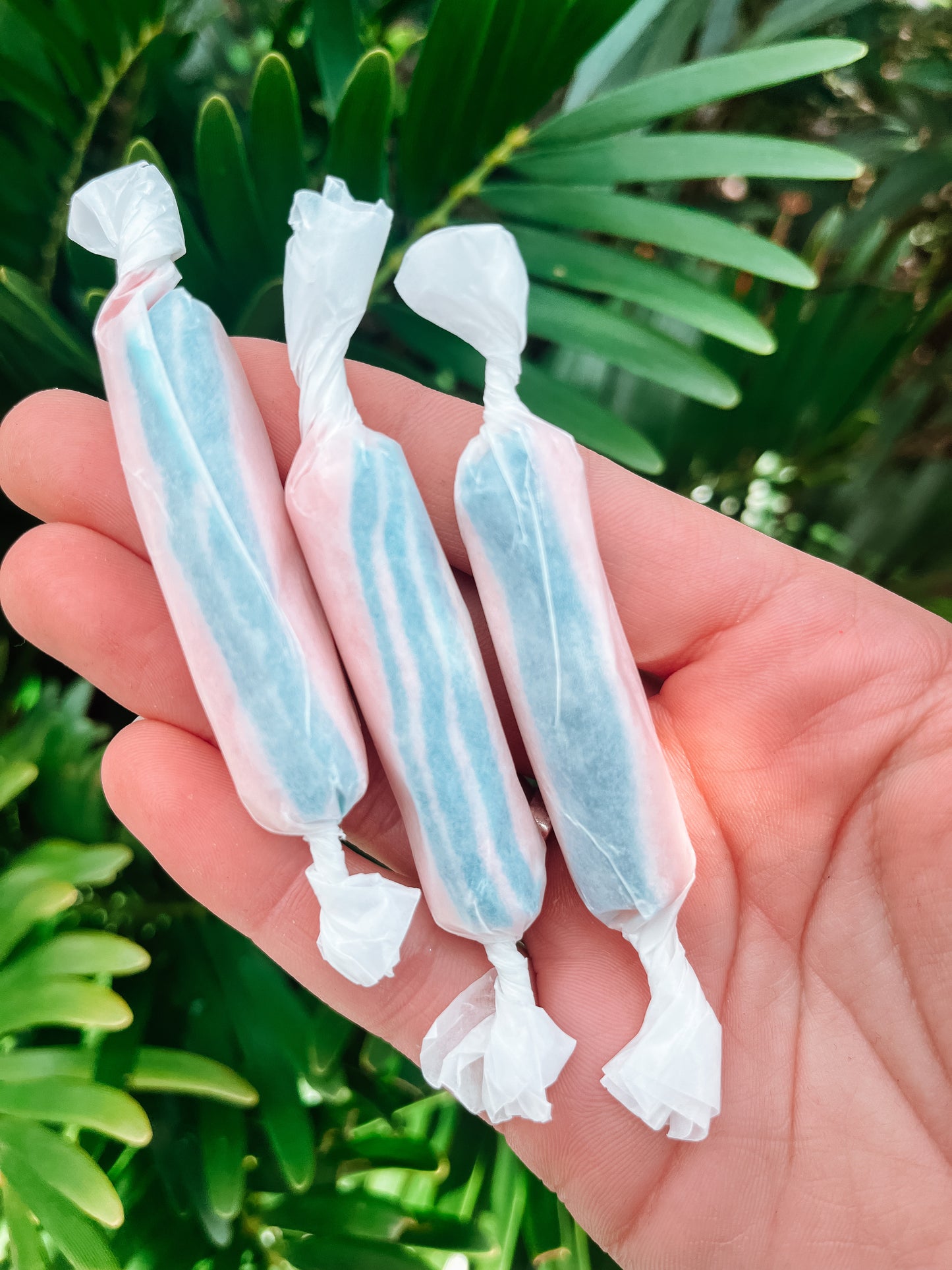 SH-BOOM Cotton candy Twisted Taffy