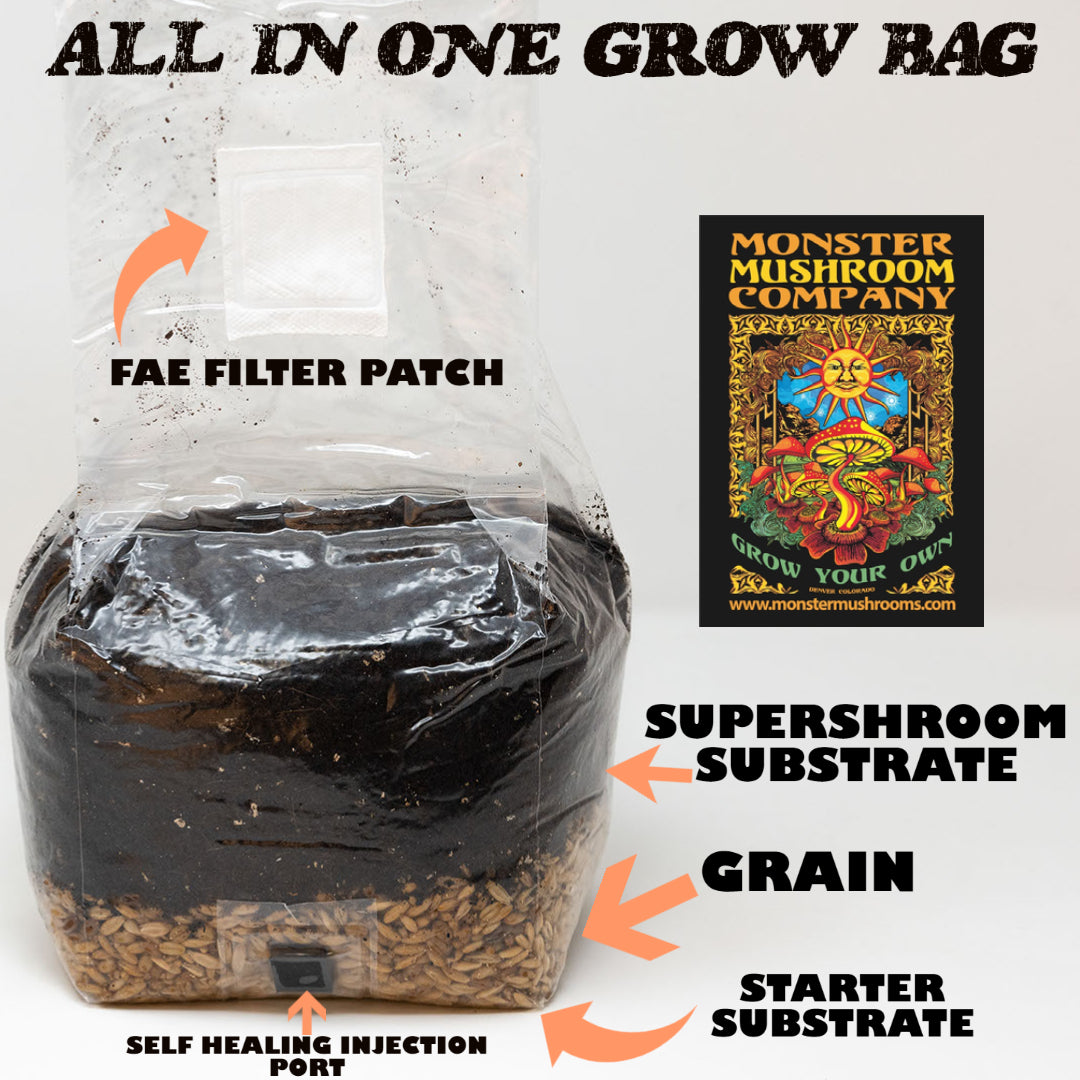 Monster Mushroom ALL IN ONE GROW BAG
