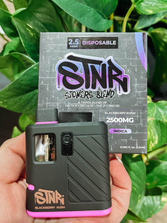 STNR 2.5G Disposable Stoners Blend